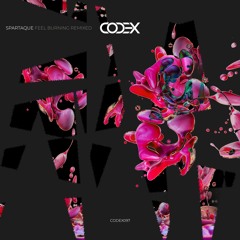 Feel Burning (Karim Alkhayat Remix)