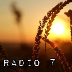Radio 7 (Shi) - Nguyễn Đình Toàn