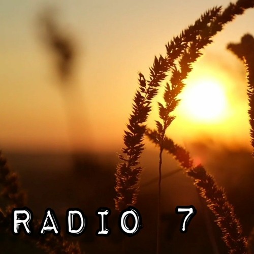 Radio 7 (Shi) - Nguyễn Đình Toàn