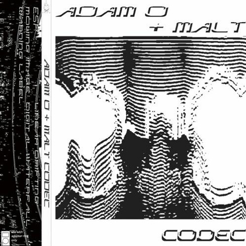 PREMIERE: Adam O - Moving Image