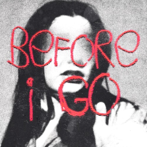 Before I Go