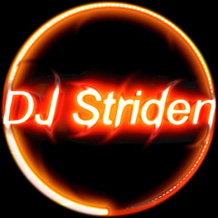 DJ Striden - Level 16 [Electro]