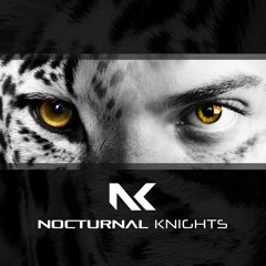 Binary Finary & Duncan Newell - Nocturnal Knights 009