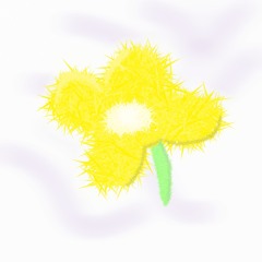 metamorfose