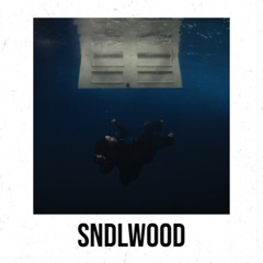 Birds Of a Feather - Billie Eilish (SndlWood Remix)