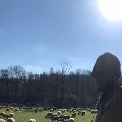 High up to the sky.mp3