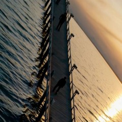 shadows beneath waves