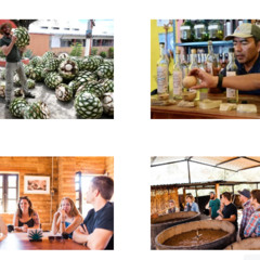 Mezcal Distillery Oaxaca Tour – Family Palenques, Agave Fields & Tastings with Las