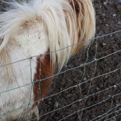 Back n’ Forth (Remix)