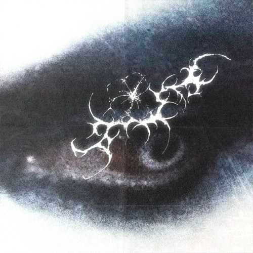 if i call you w/vistuh