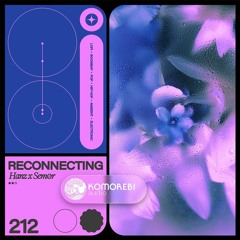 Reconnecting - Hanz x Sem0r - Sample Pack