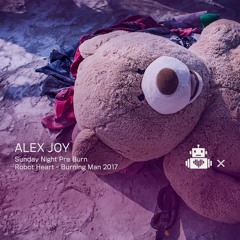 Alex Joy - Robot Heart 10 Year Anniversary - Burning Man 2017