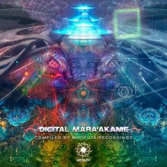 DJ set- Digital Mara'akame EP By Wirikuta Recordings SLP