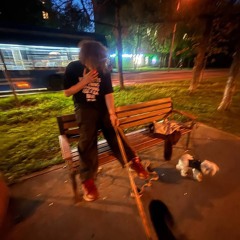 williamswagga - лайфстайл тушино gang