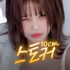 송하영 - 스토커 [10cm] | AI Cover