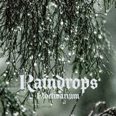 Raindrops