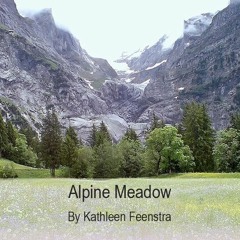 Alpine Meadow