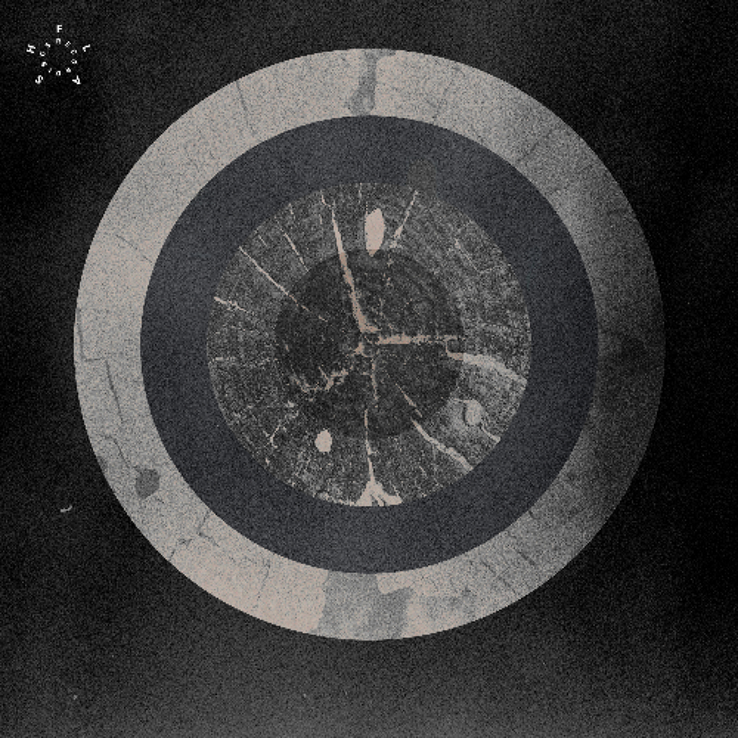 Salvatore Foglia - Silent Multitudes [ FLASH 392 ] episode artwork
