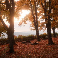 251019 - on the edge of house