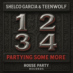 1234 Partying Some More (Radio Mix)