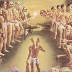 TRANSMIGRATION
