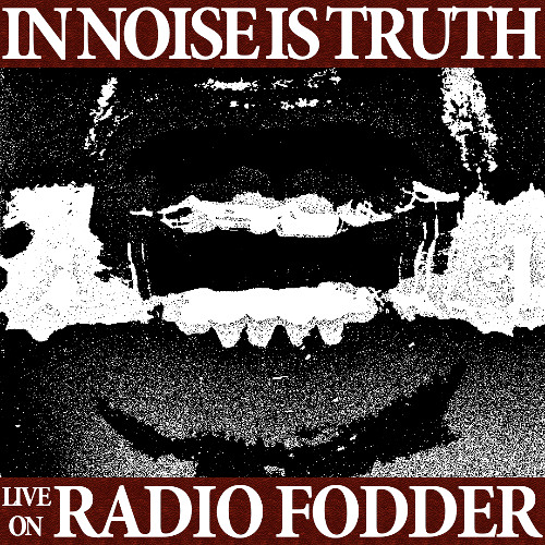 In Noise Is Truth • 02 • Heavier than a death in the family