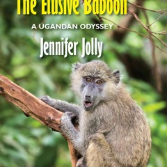 Download Book [PDF] The Elusive Baboon: A Ugandan Odyssey