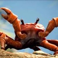 Crab Rave