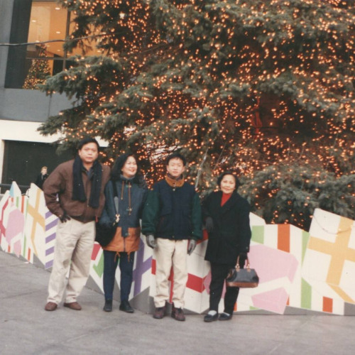 Dance in the Snow (Mekanation version)