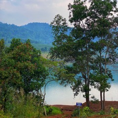 EM THẤY ĐẤY