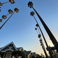 arroz con pollo (mastered)