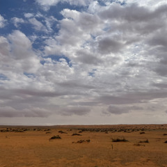 علي عبدالله | على الذكرى .