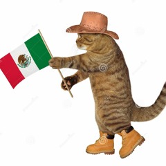 El Beeper (prod. IzRosh) ft. The Sikko