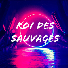 Kalash - Roi Des Sauvages ( Dj Sylex ) [ GROS SAAH ]