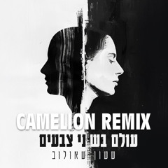 ששון איפרם שאולוב - עולם בשני צבעים רמיקס (Dj Camelion Remix)
