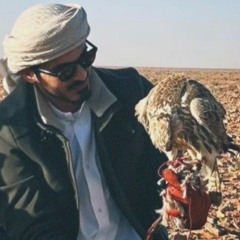 ياكثر الهواجيس بالبال