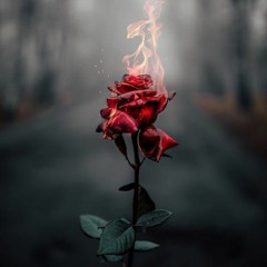 Never Regret You (Dance Chill) 2021