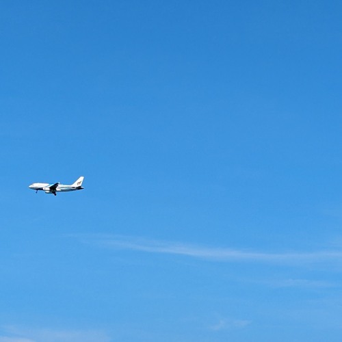 Fred Again Type Shit