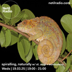 netil radio ~ spiralling, naturally 009 w/ st. amp + wordcolour (19 03 2025)
