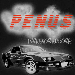 TEENAGE NGR