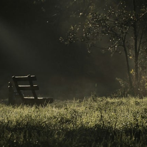 Day 14 Jamuary - Enjoy This Silence