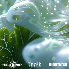 TechTonic x Bosstatus - Perception ft. Tonik