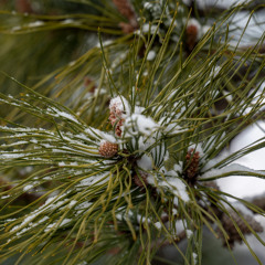 New Path Perspective Blog: A New Look at a Familiar Phrase