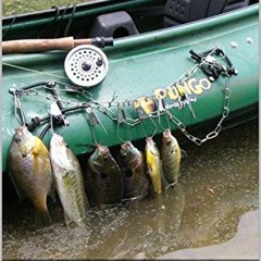 Get KINDLE PDF EBOOK EPUB Fly Rod Tactics for Warm Water Species by  L. Woodrow Ross 📪