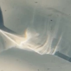 Pneuma