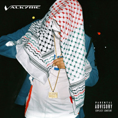 Valkyrie - Beny jr