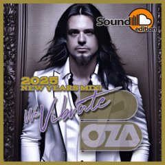We Vibrate - New Years Edition - BOZA (Soundcloud Edt)