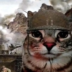 lilhunndo - bandzFell