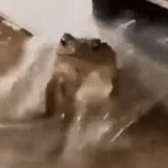 조때써 (prod.Hukky Shibaseki)