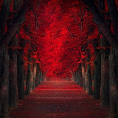 Fall [Deep Rapbeat_prodbyxseul]